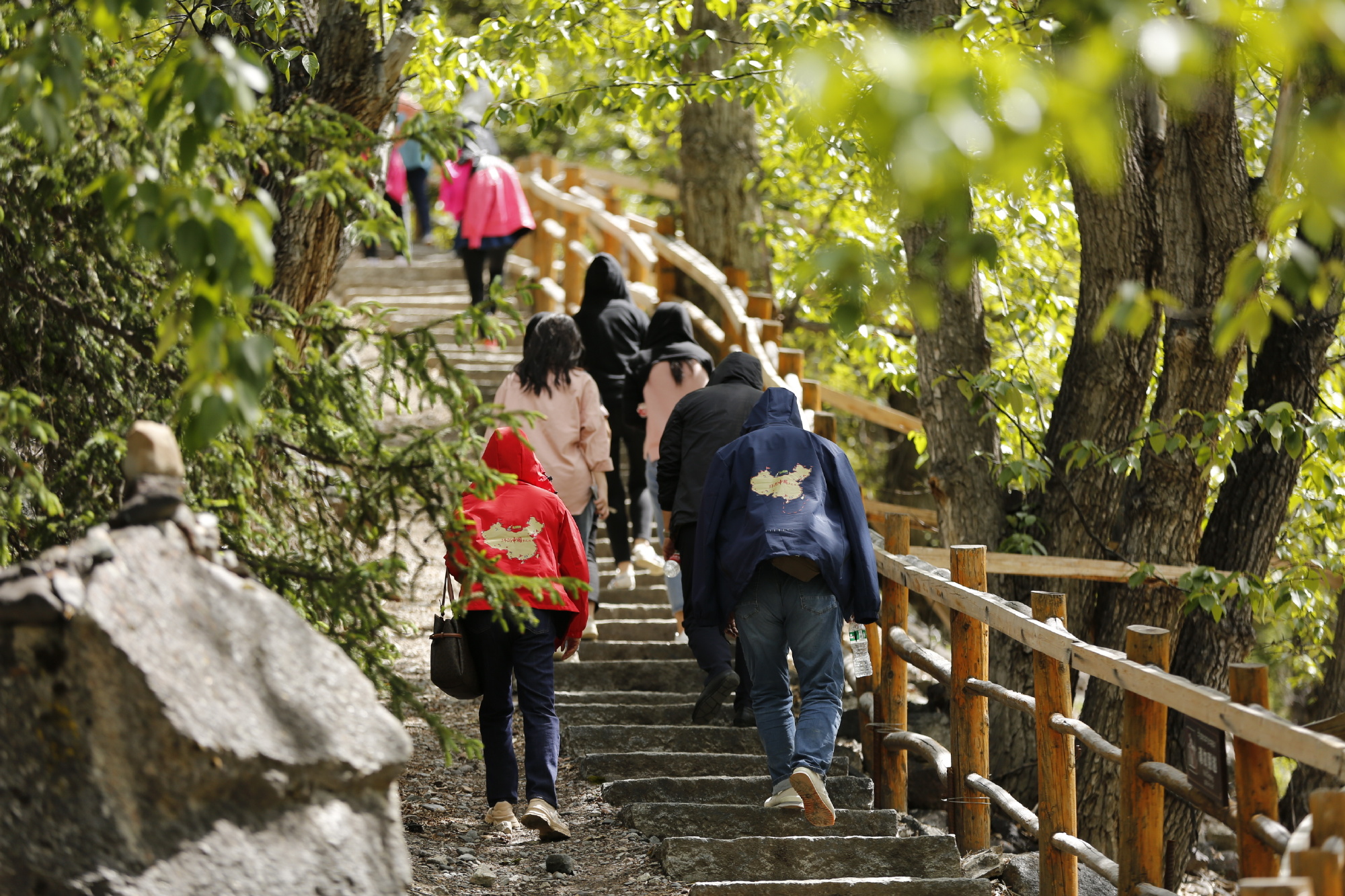 23辆车，64人，50天，17500公里，一辈子仅一次地环驾中国梦之旅