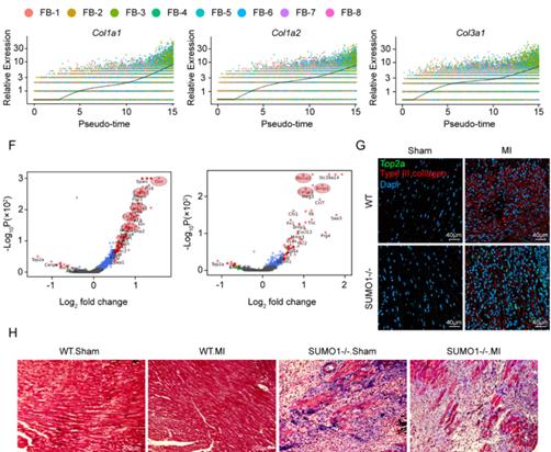 journalofpharmaceuticalanalysis投稿,心血管疾病研究进展期刊
