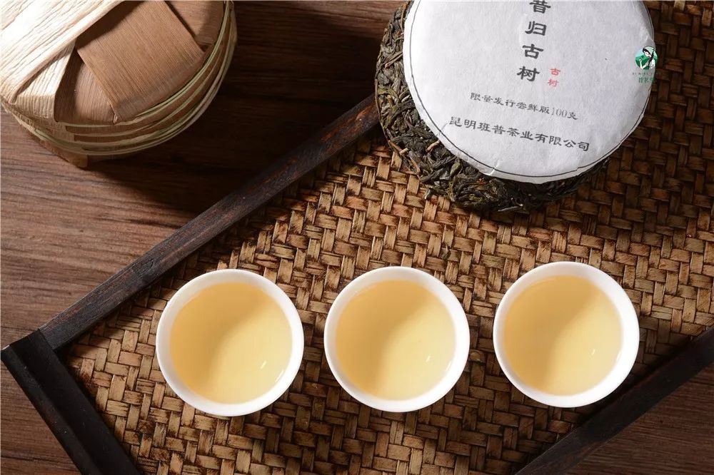 昔归茶为什么苦涩,昔归茶的寓意是什么