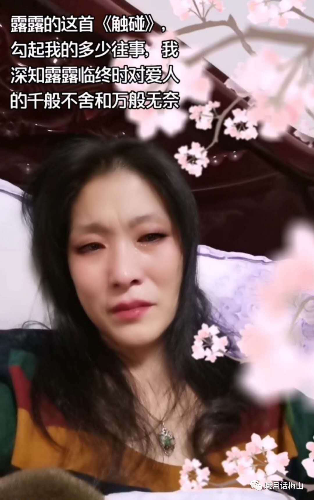 一首《触碰》勾起凤儿多少伤心往事！可山盟虽在，锦书难寄