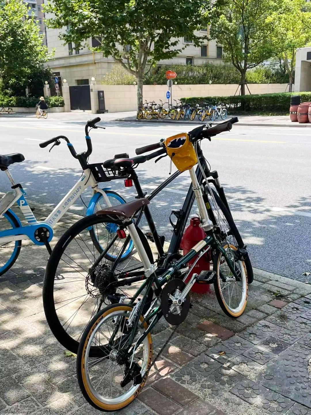 25年最挣钱的行业,25年自行车市场