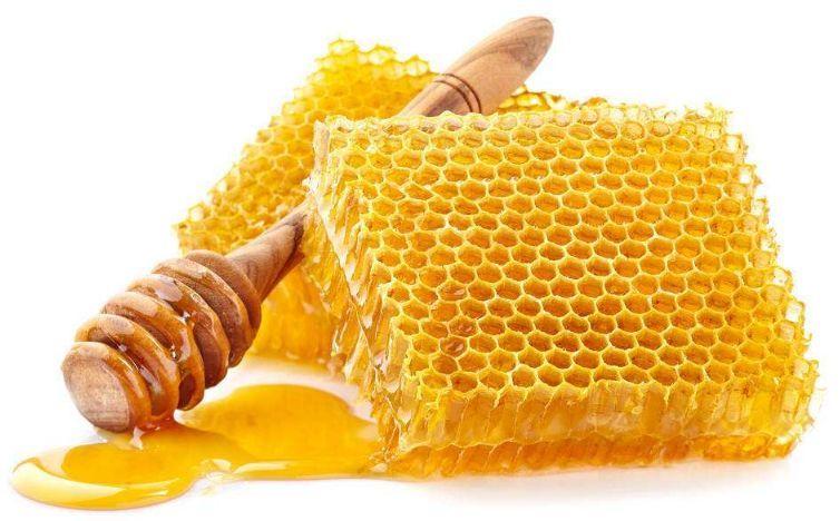 张文宏讲疫情要多吃蛋白质,张文宏说每天吃两个鸡蛋能抗疫情