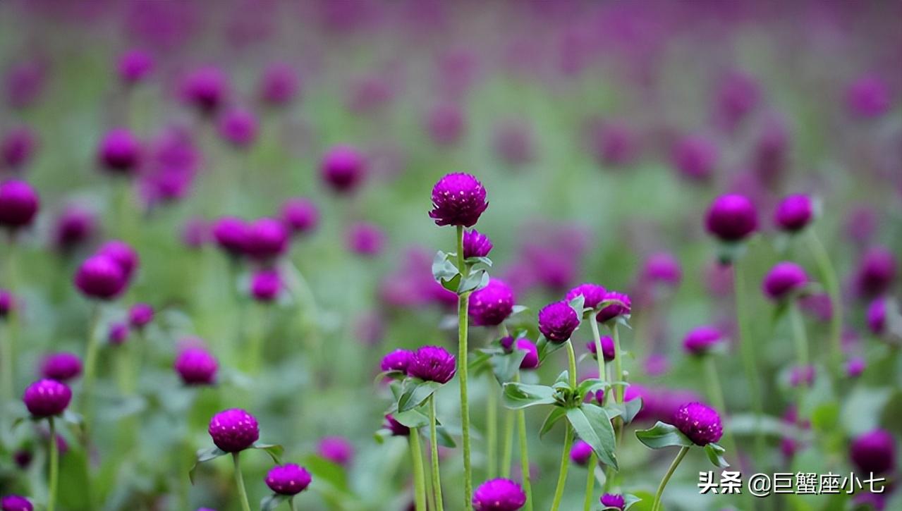 被动理智慢热的星座男,越爱你越忽冷忽热的星座男