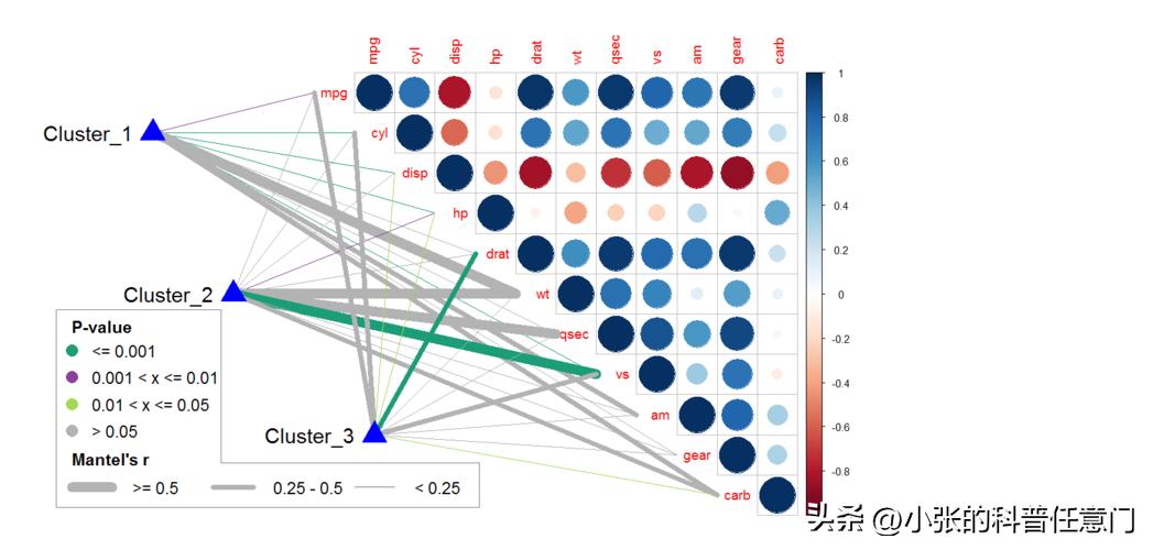 淫羊藿野生和种植效果有区别吗,淫羊藿根系