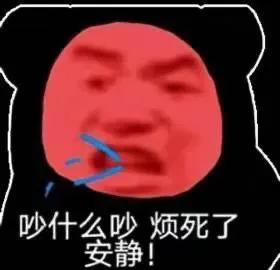 熊猫贴在墙上表情,震惊熊猫表情素材