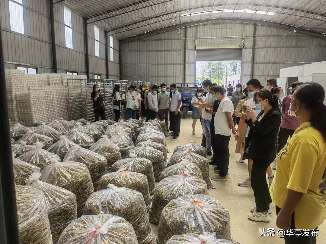 华亭：做好青年“贴心人”让青年“近悦远来”