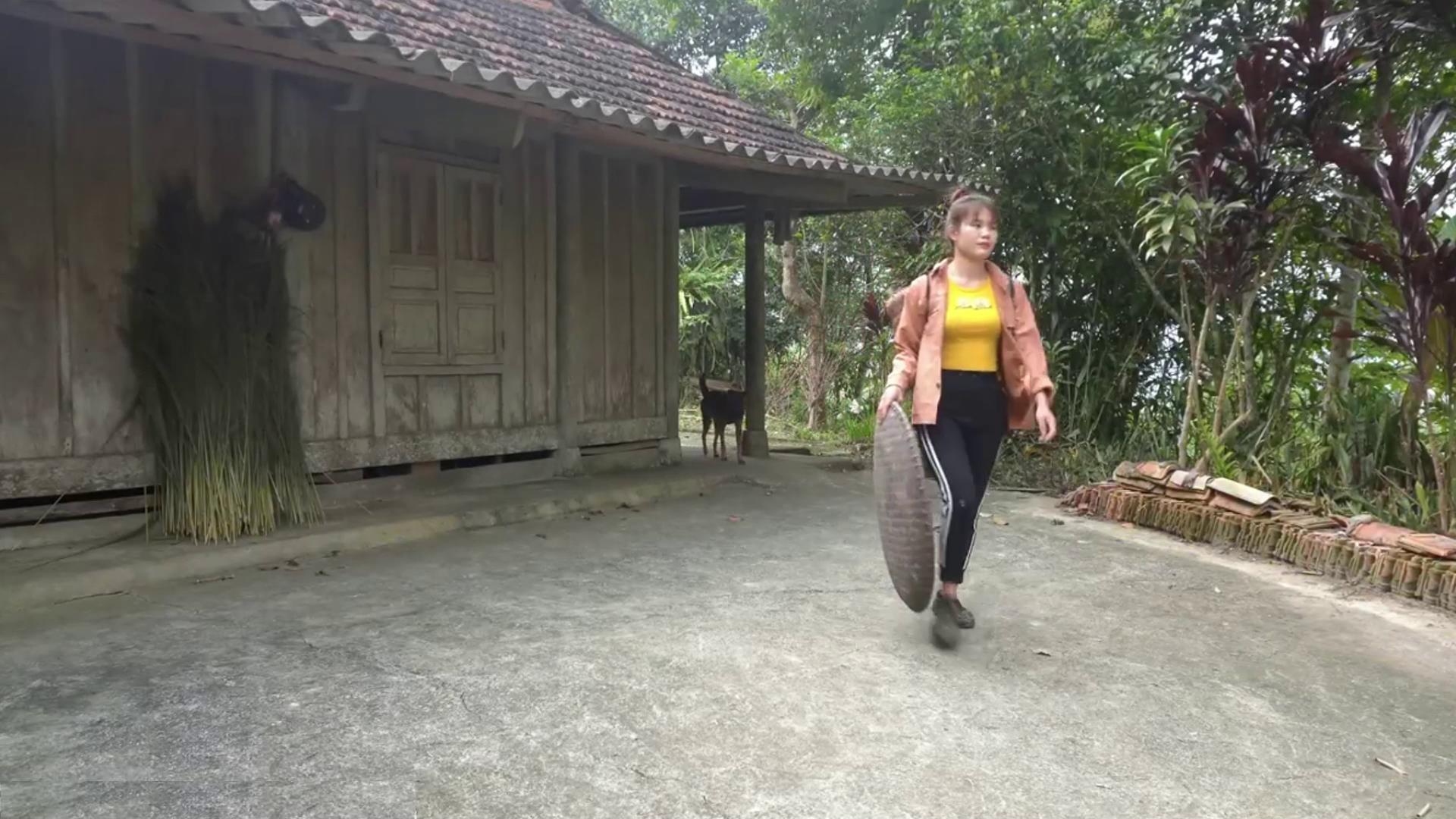 越南女人一个人进山捅黑窝,拿到集市出售,一天能赚500块钱