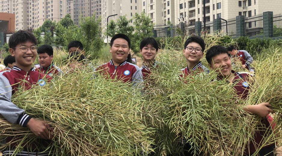 未成年人思想道德建设实践育人,未成年人思想道德建设行动