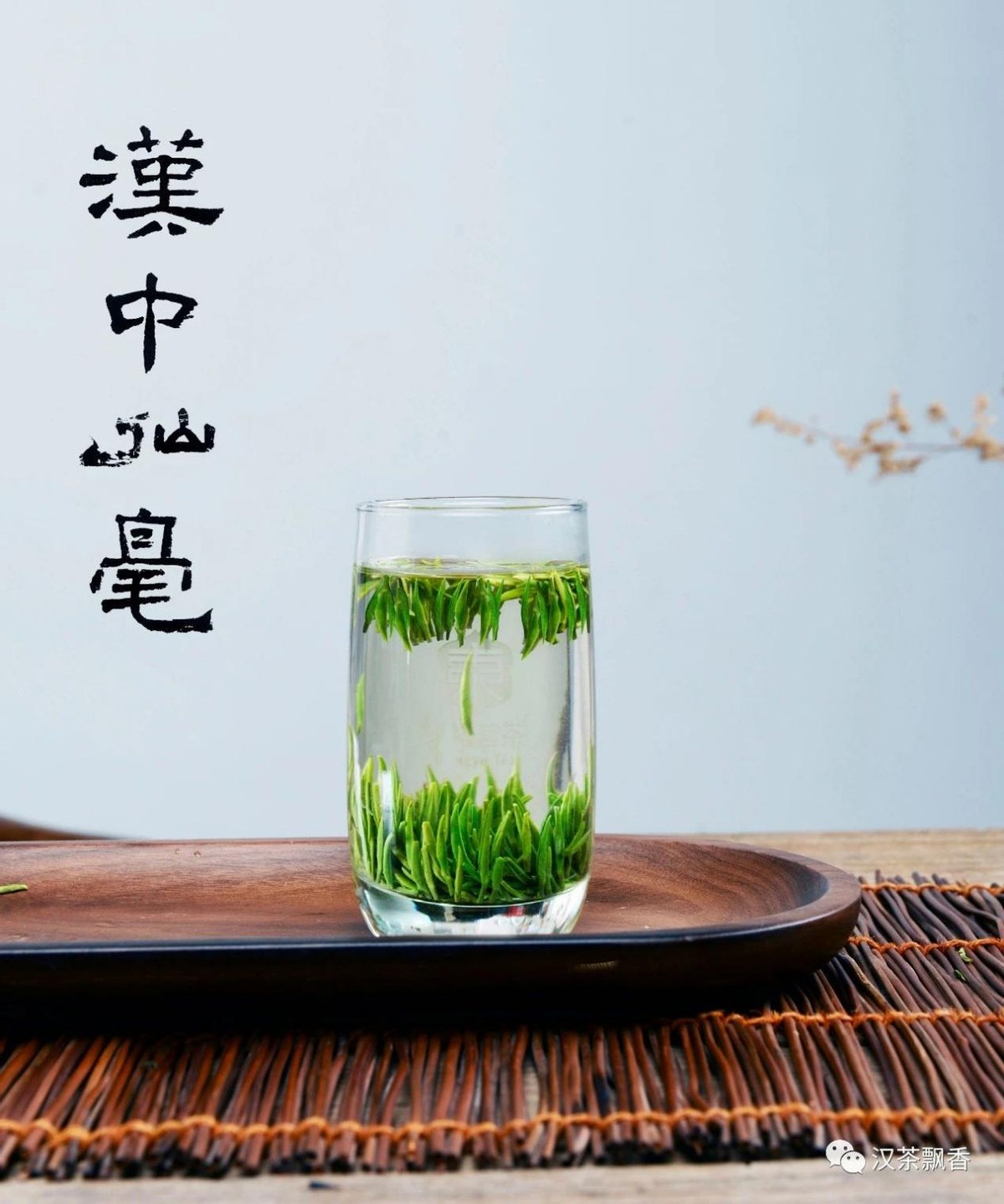 高山生态茶业,汉唐茶园介绍
