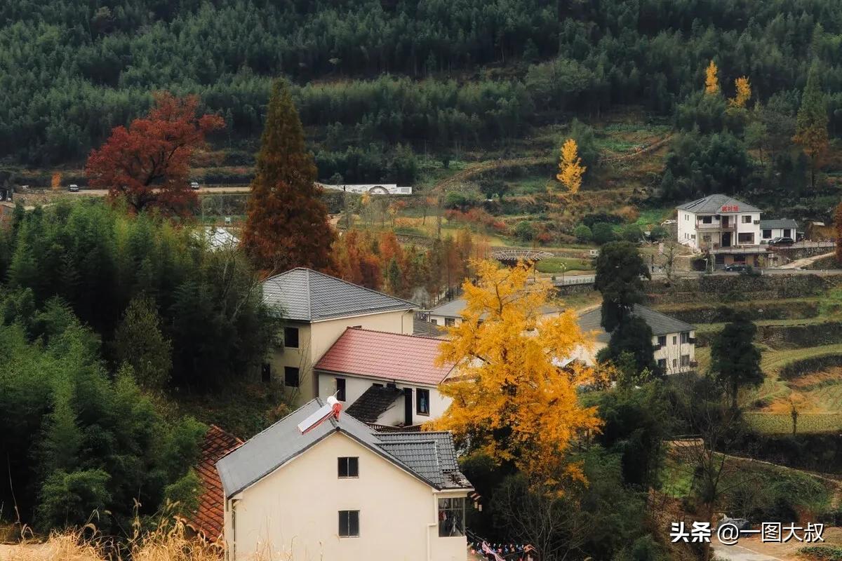 鏁ｆ枃涔℃潙鐢板洯,鏁ｆ枃涔″湡鎯呯粨