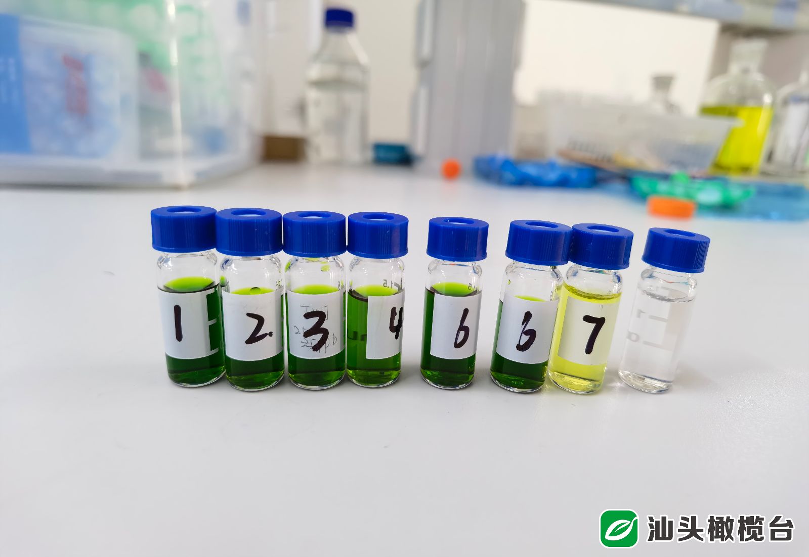 为安全生产提供技术质量保障,为企业降本增效提供坚强保障