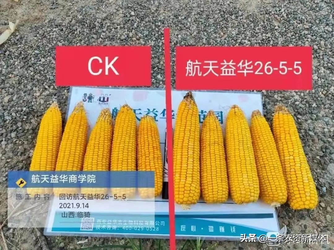 生物有机肥和复合肥搭配,生物有机肥和通用型复合肥