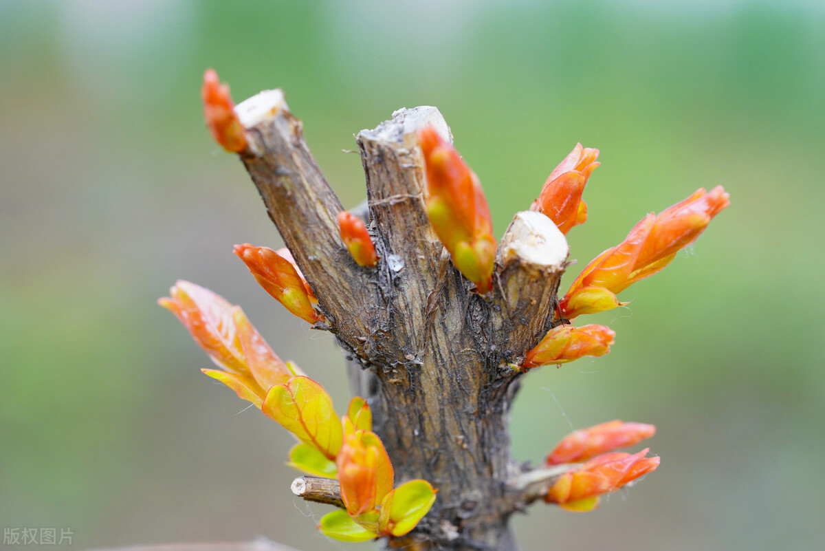 有一种累叫想太多图片,想太多会累的句子