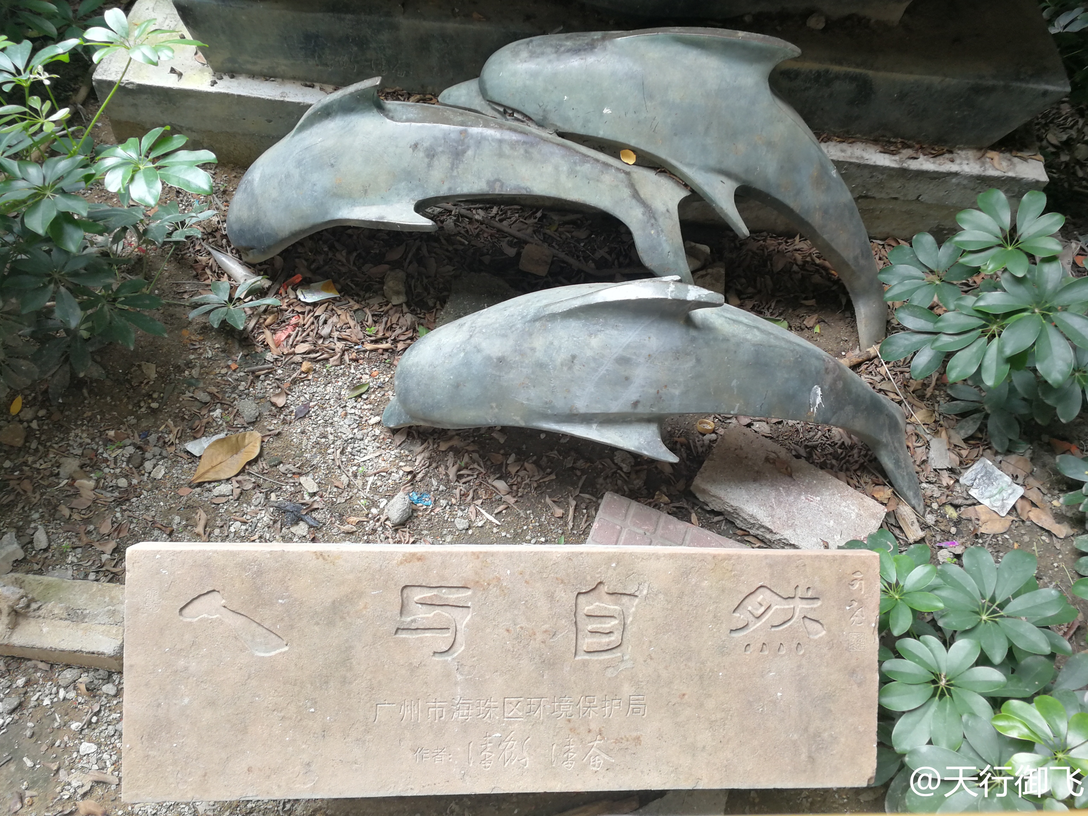 小洲村旅游景点地图,小洲村一日游最佳攻略