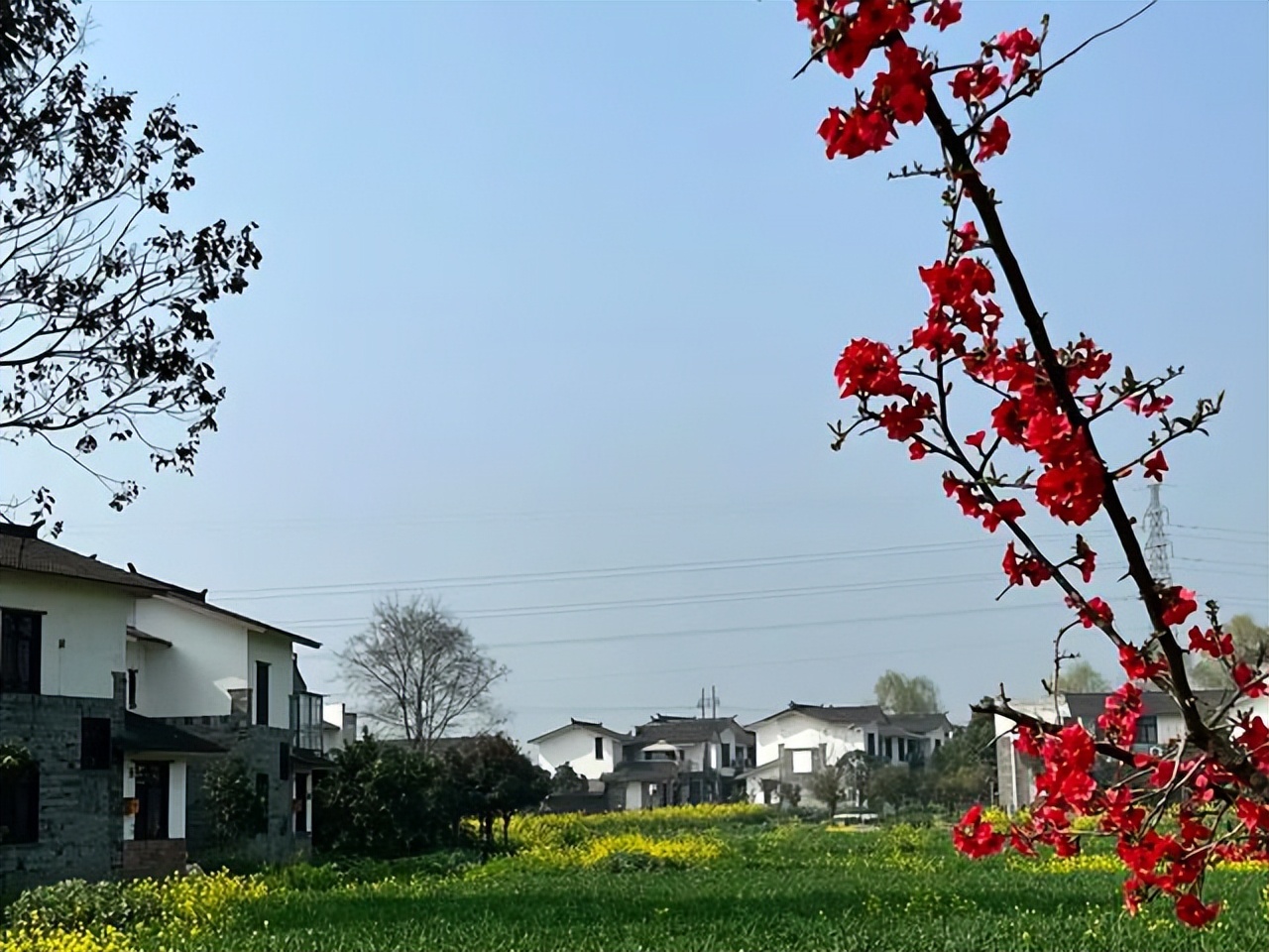 崇州五星村旅游攻略,崇州五星村打卡景点在哪里