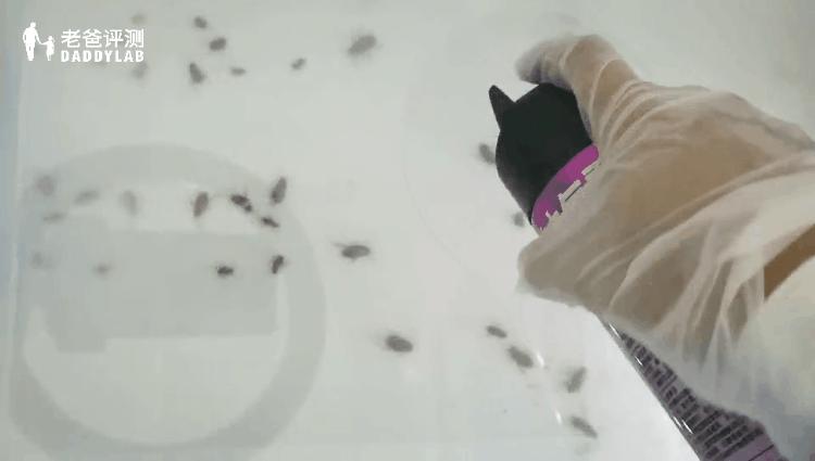 灭蟑神器第一名蟑螂克星测试,测评灭蟑螂神器排名第一