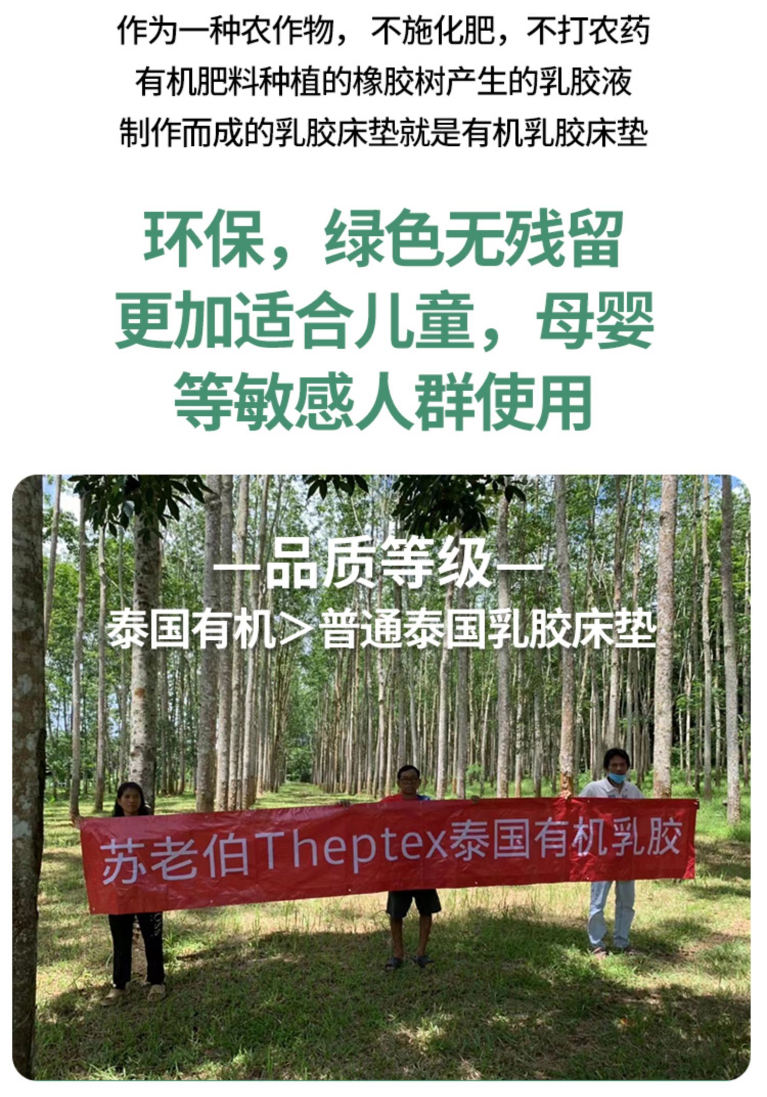 苏老伯乳胶床垫推荐,苏老伯有机乳胶床垫