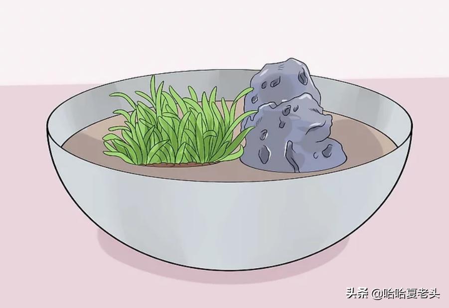 怎样拯救要死的斗鱼,怎么抢救奄奄一息的斗鱼