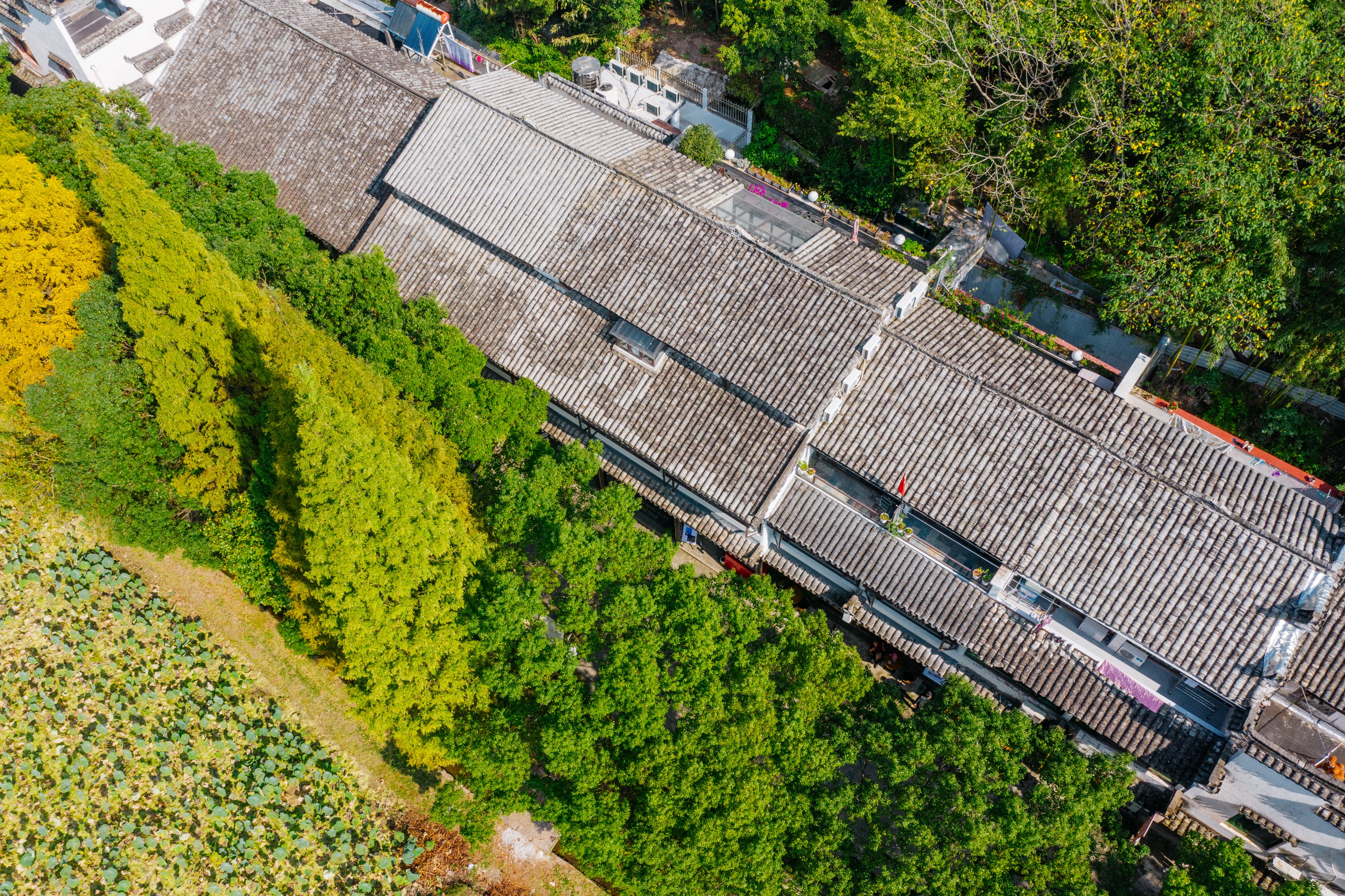 诸葛村周边游,诸葛村旅游攻略