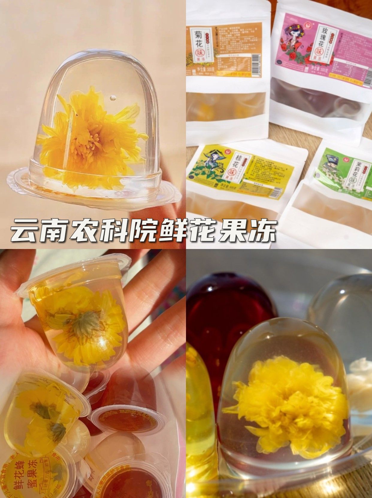 农学院食品特产大全,各大农科院食品大全