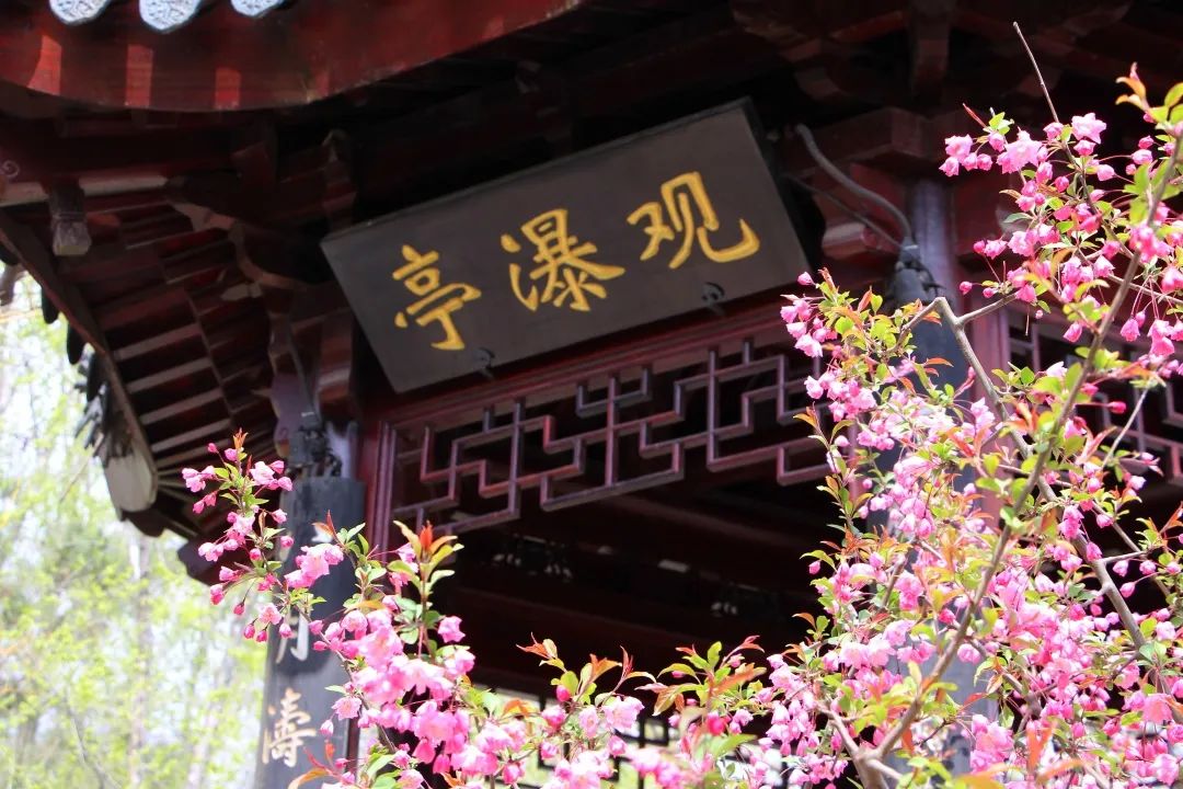 临清宛园花朝节,宛园花朝节门票