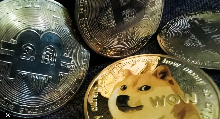 马斯克twitter改革,马斯克又喊话狗狗币