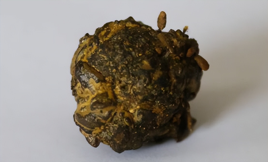 江苏一烧烤店,盐城一烧烤店发现上亿现金