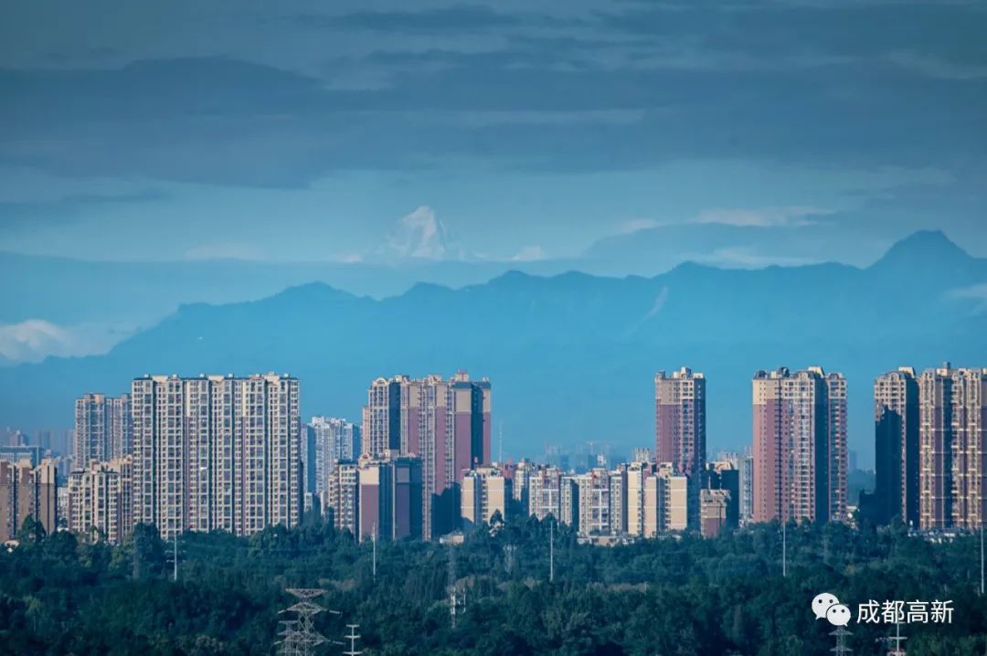 成都专精特新小巨人,国家级小巨人企业名单公示