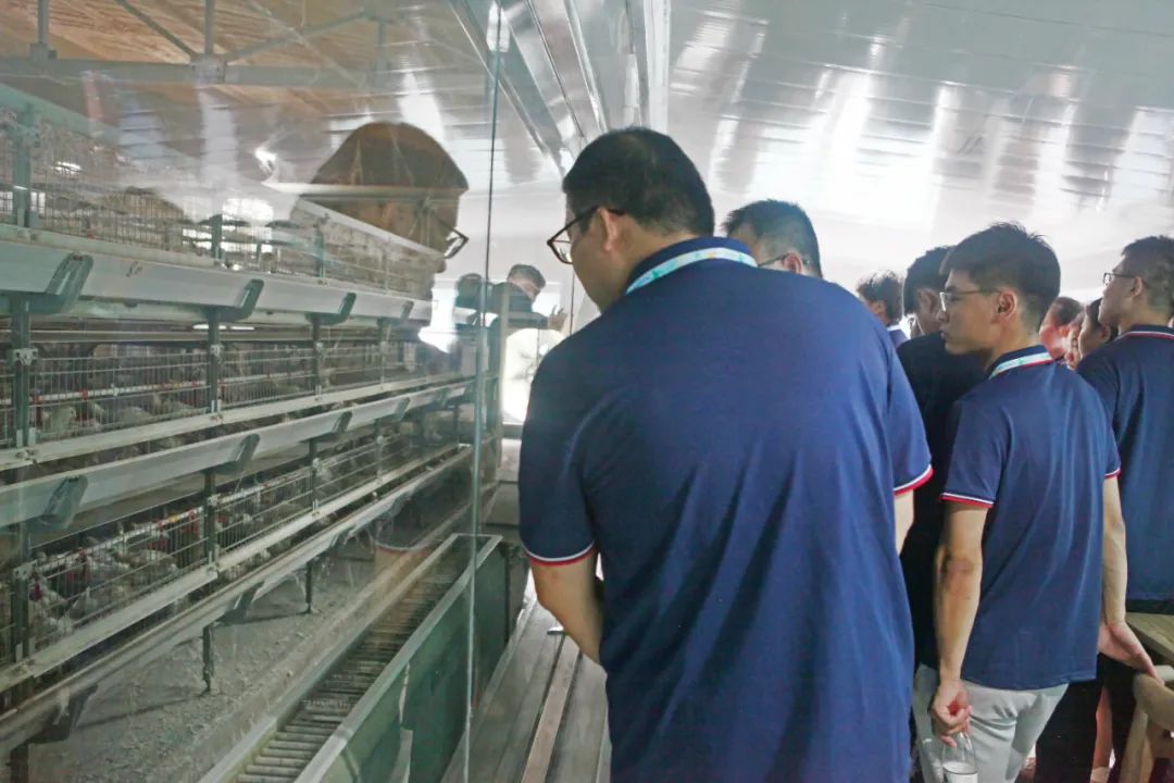 乘风破浪梦想启航迎新,乘风破浪新员工