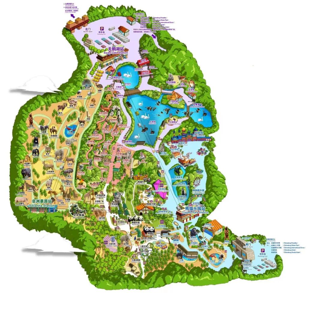 广州长隆野生动物园一日游vlog,广州长隆野生动物世界旅游攻略