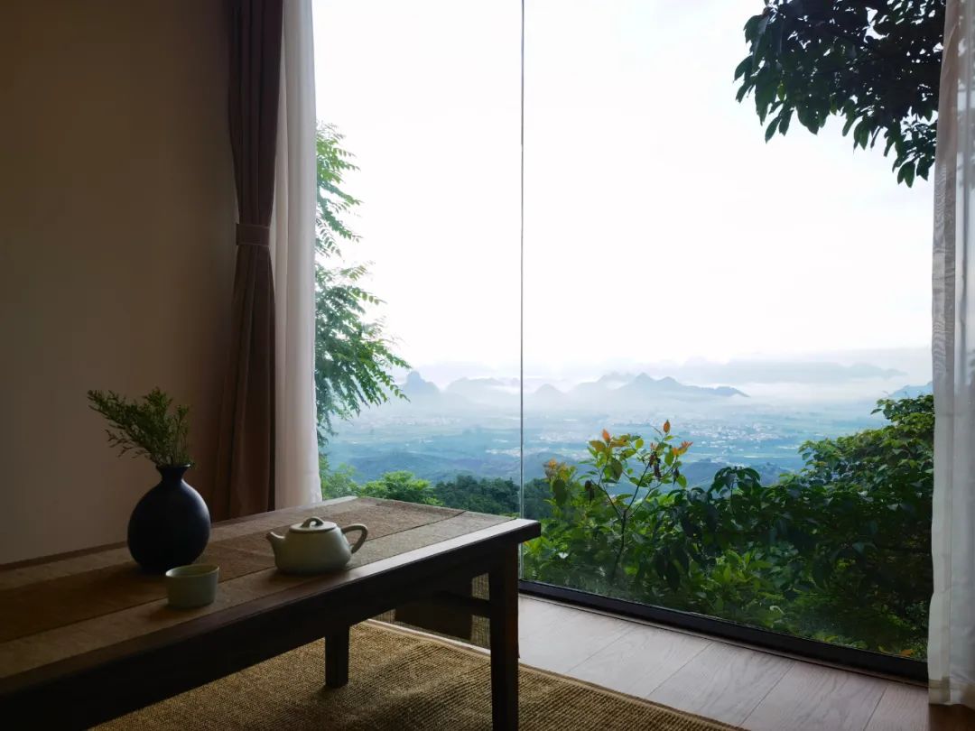 猫咪走太空步原视频最火,猫咪壁虎漫步视频