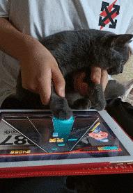 你觉得结婚和不结婚什么区别呢,你们觉得结婚和没结婚有什么区别