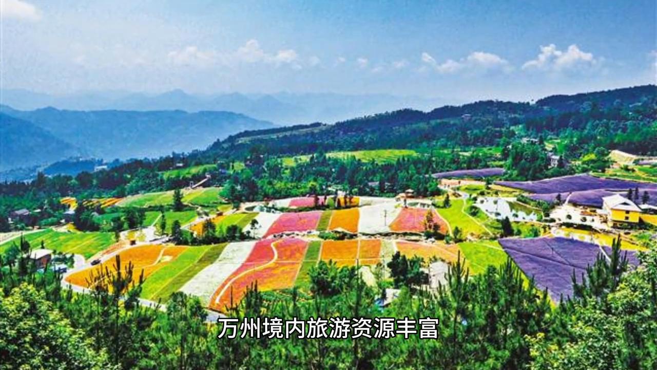 重庆市万州区人民政府官网,重庆市万州区简介人口