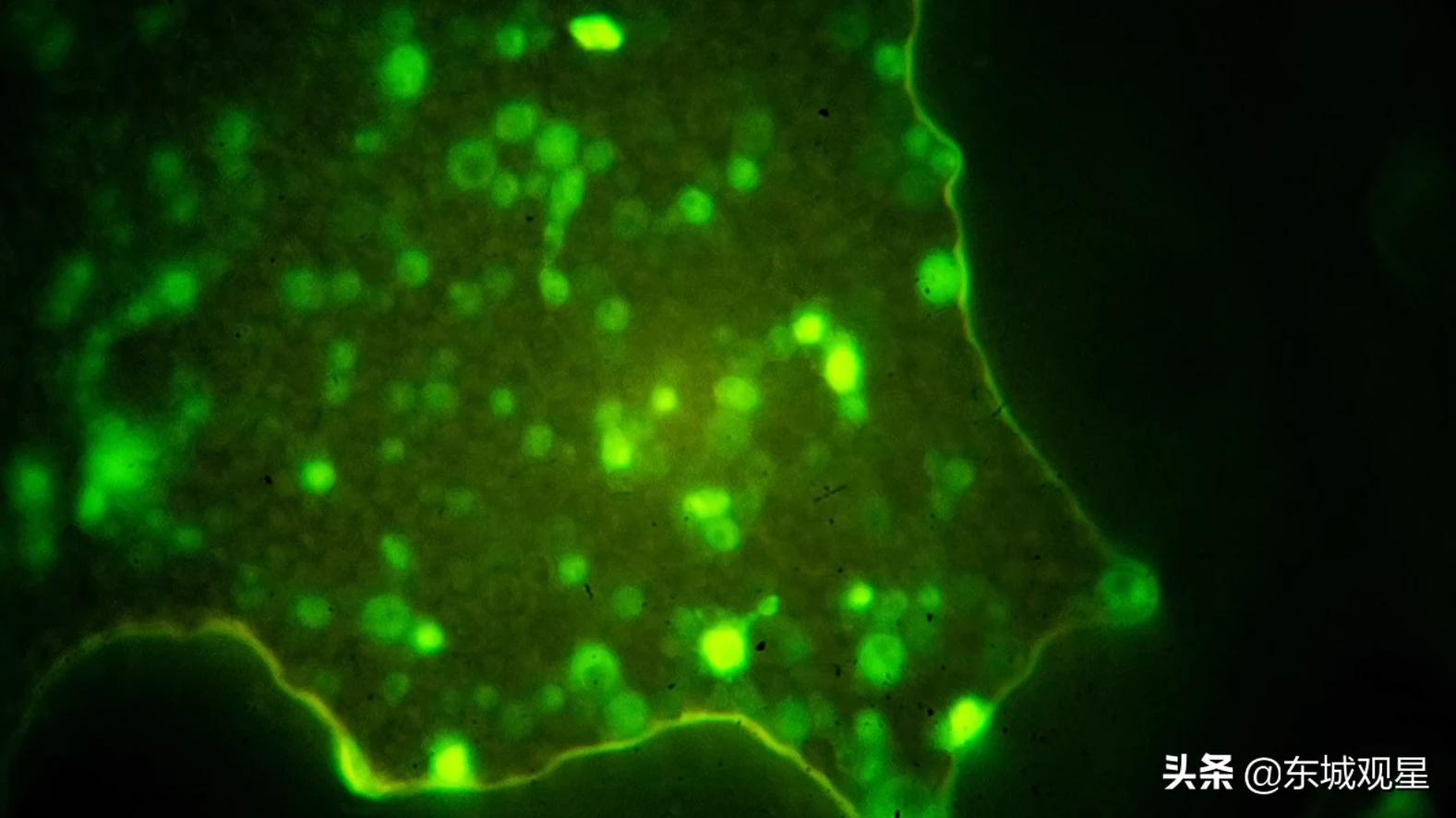 问天实验舱有多大,问天实验舱有哪些神奇之处