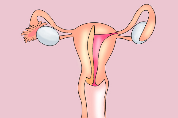 什么叫石女外表有些什么特征,石女能正常生育吗