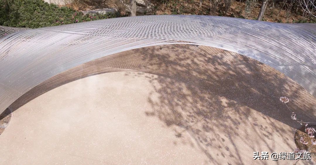 樱花树下的约定字体设计,樱花树下的约定完美国度