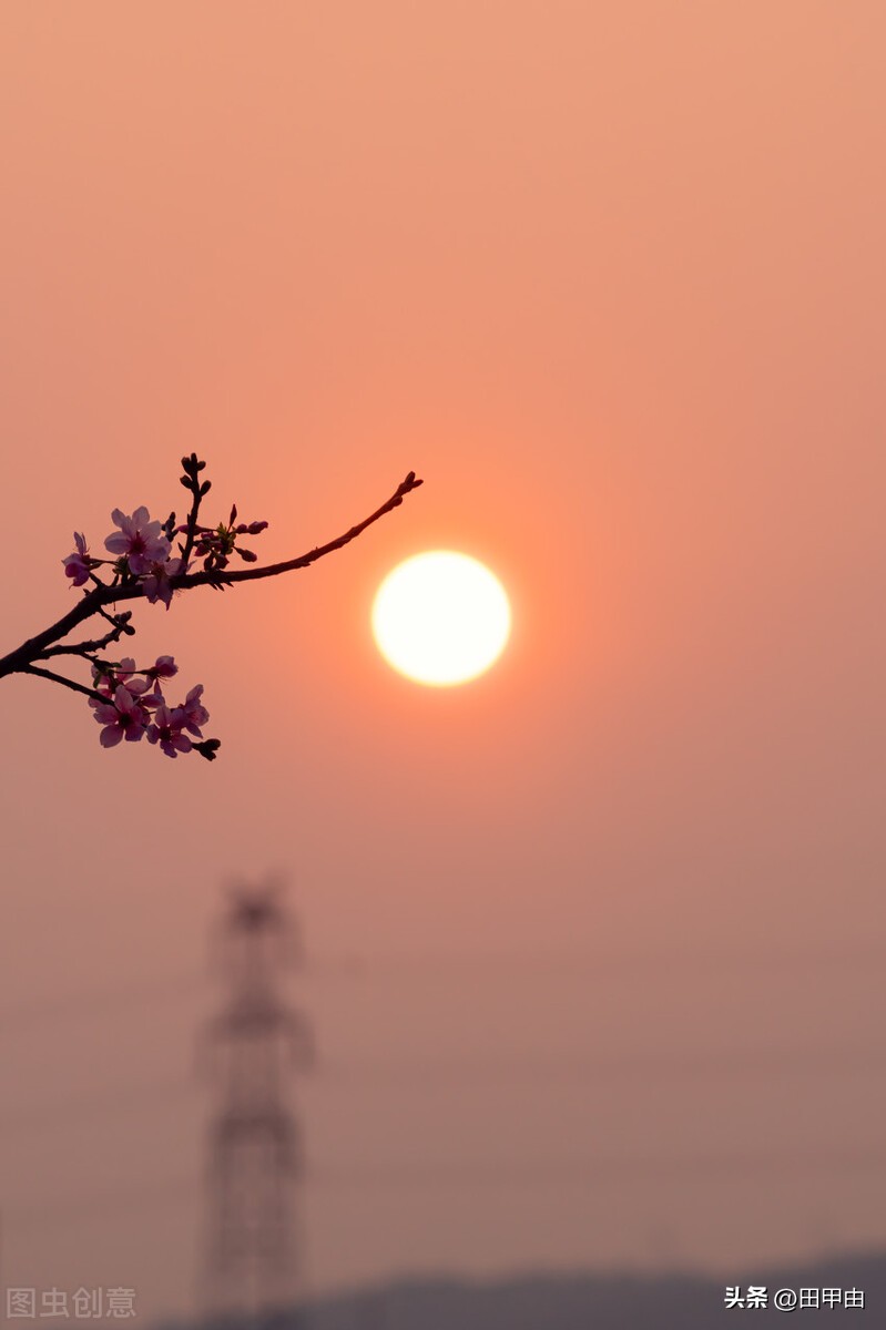 国家记忆田建东,国家记忆蓝文胜