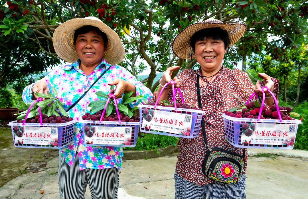 “min”甜爆汁！西瓜、蓝莓、桃子......彭州今夏水果新鲜开摘喽