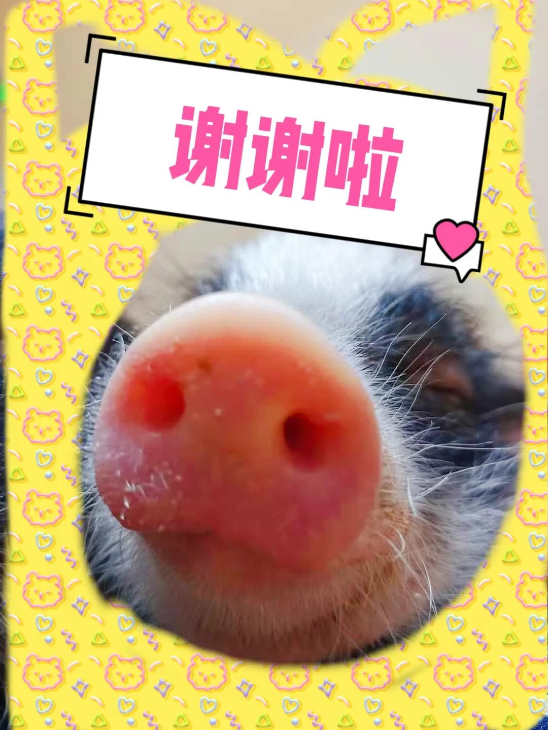 平价手表小众品牌,有型有款小众平价手表推荐男士篇