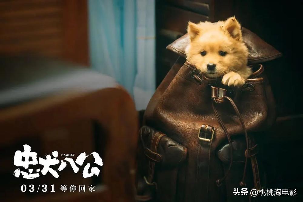 最近院线新片,最新院线新片