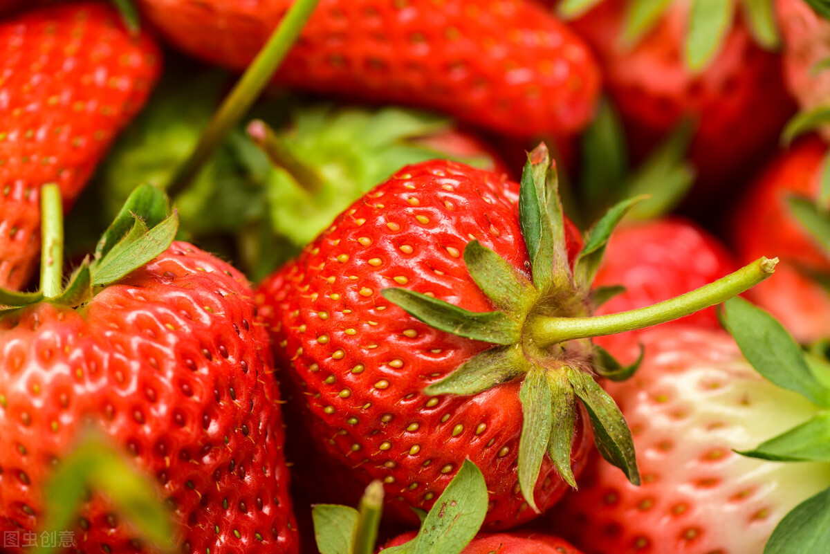 丹东99草莓有多大,丹东99草莓一斤多少个大果