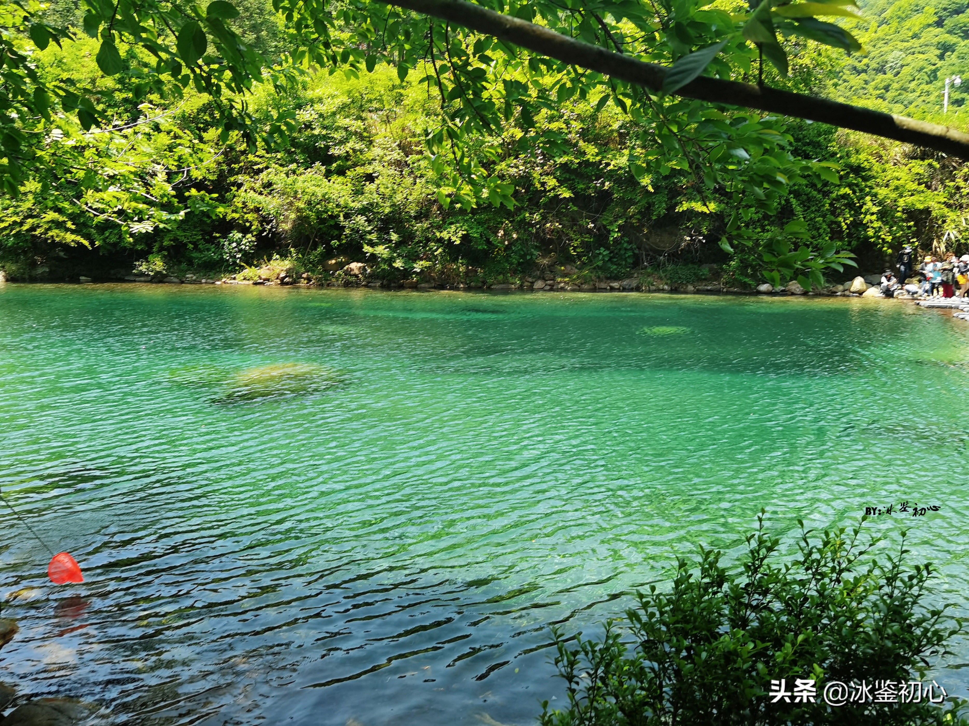 鍦ㄧ壇鐗涢檷鎷嶇殑瑙嗛,鍦ㄧ壇鐗涢檷鐜╃殑璇磋