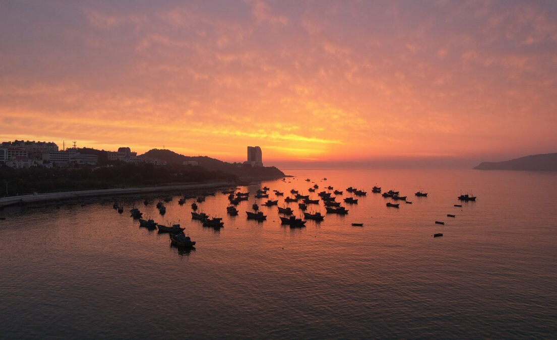 海鲜生蚝什么地方最好,国内哪个城市能实现生蚝自由