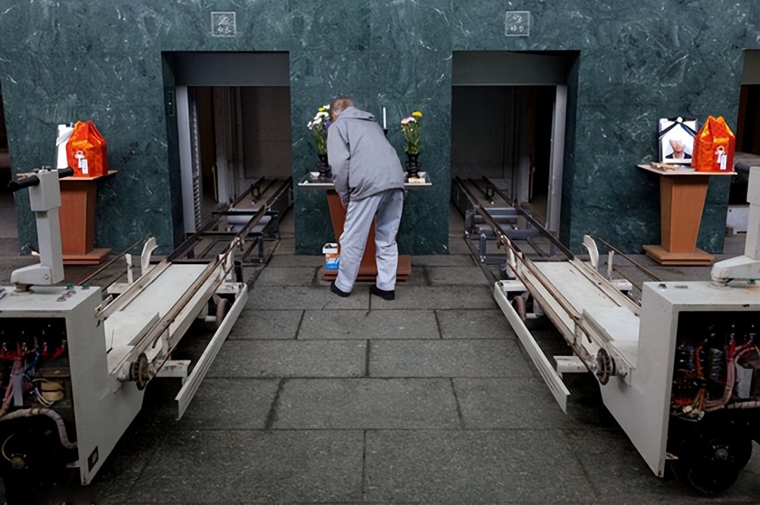 听过佛罗里达扭曲树精的故事吗,佛罗里达扭曲树精后续