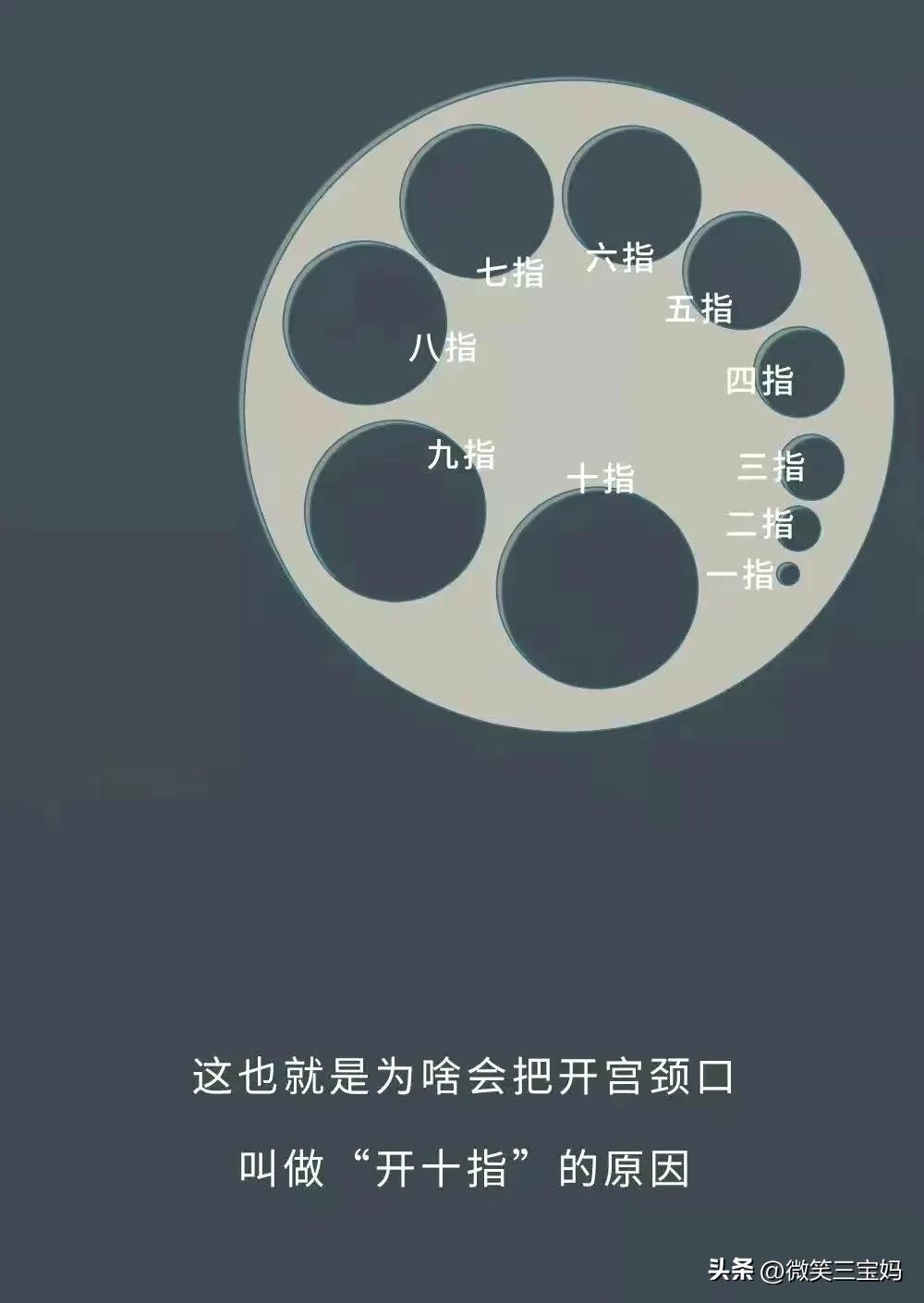 看完生宝宝过程的感想,国外记录生宝宝的过程