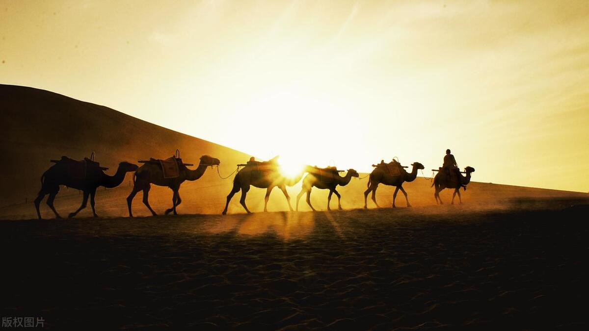 在挫折中成长的例子以及感悟,最大的挫折背后隐藏着巨大的成功