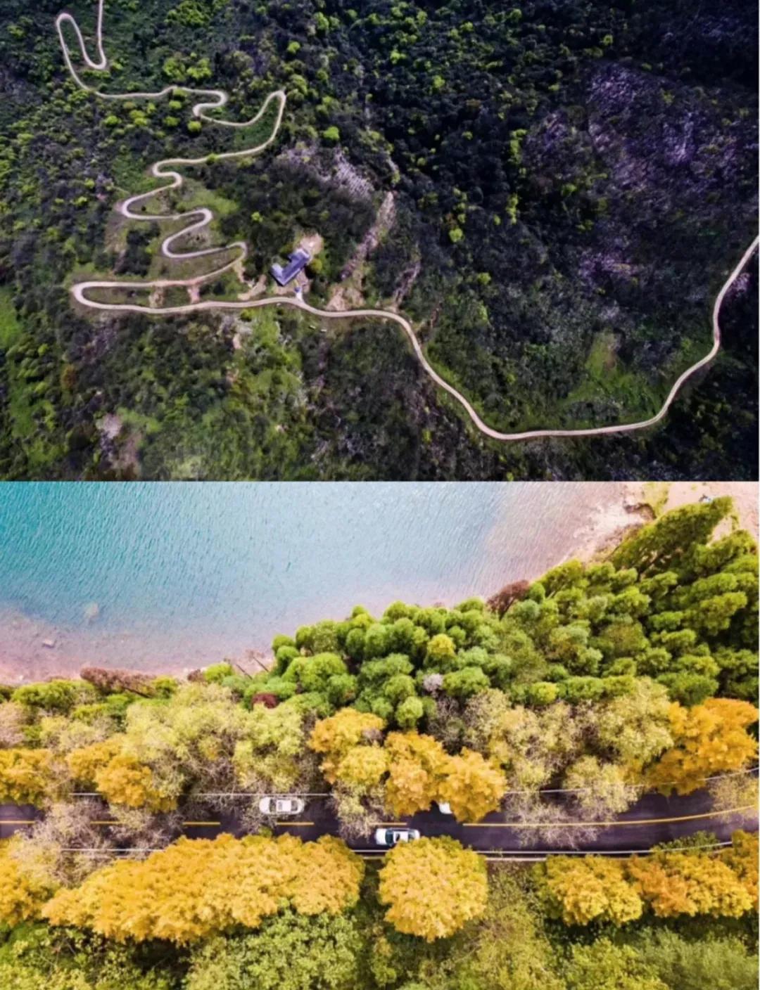 2022春节成都周边油菜花,2022年成都油菜花观赏地