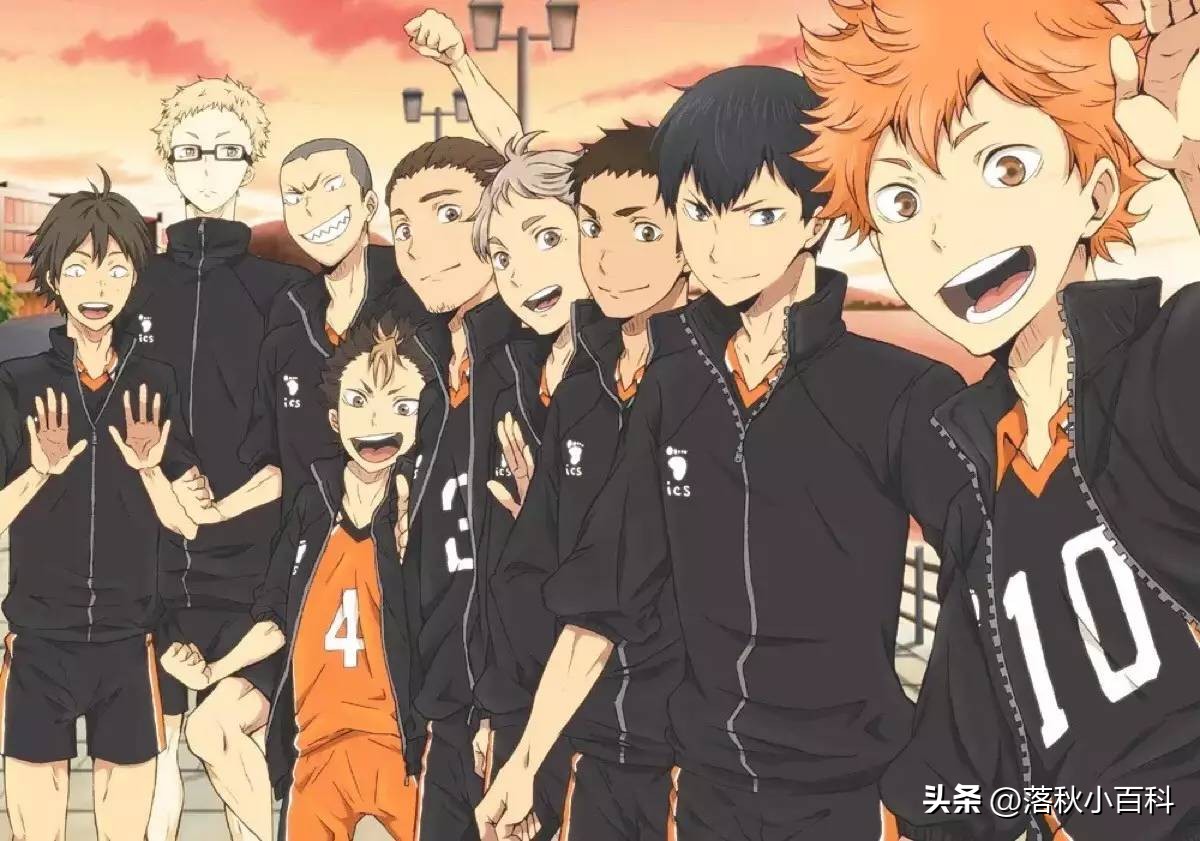 十大好看的动画推荐,十大高分动画排行榜