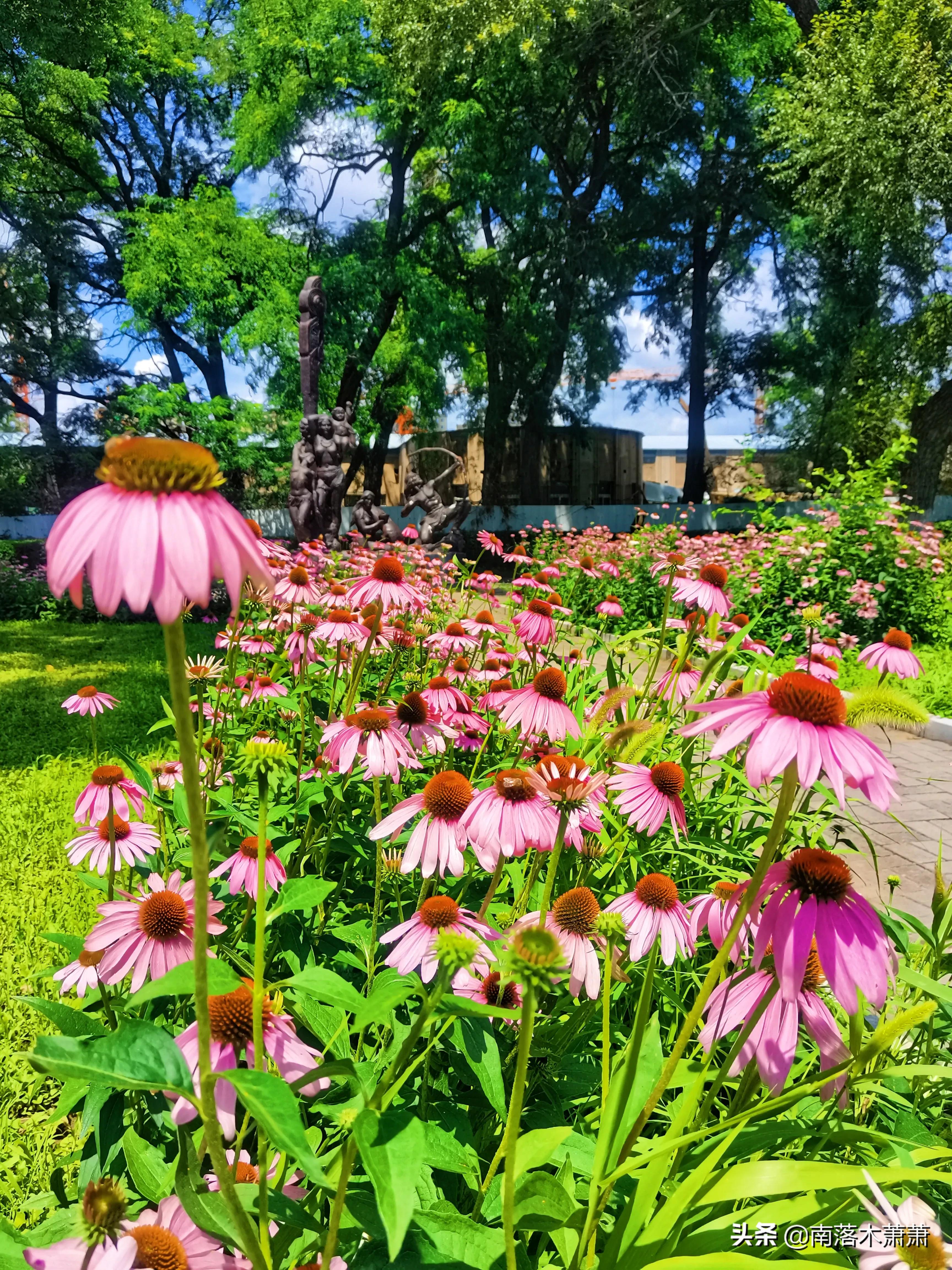 沈阳皇姑新乐遗址,参观沈阳新乐遗址博物馆