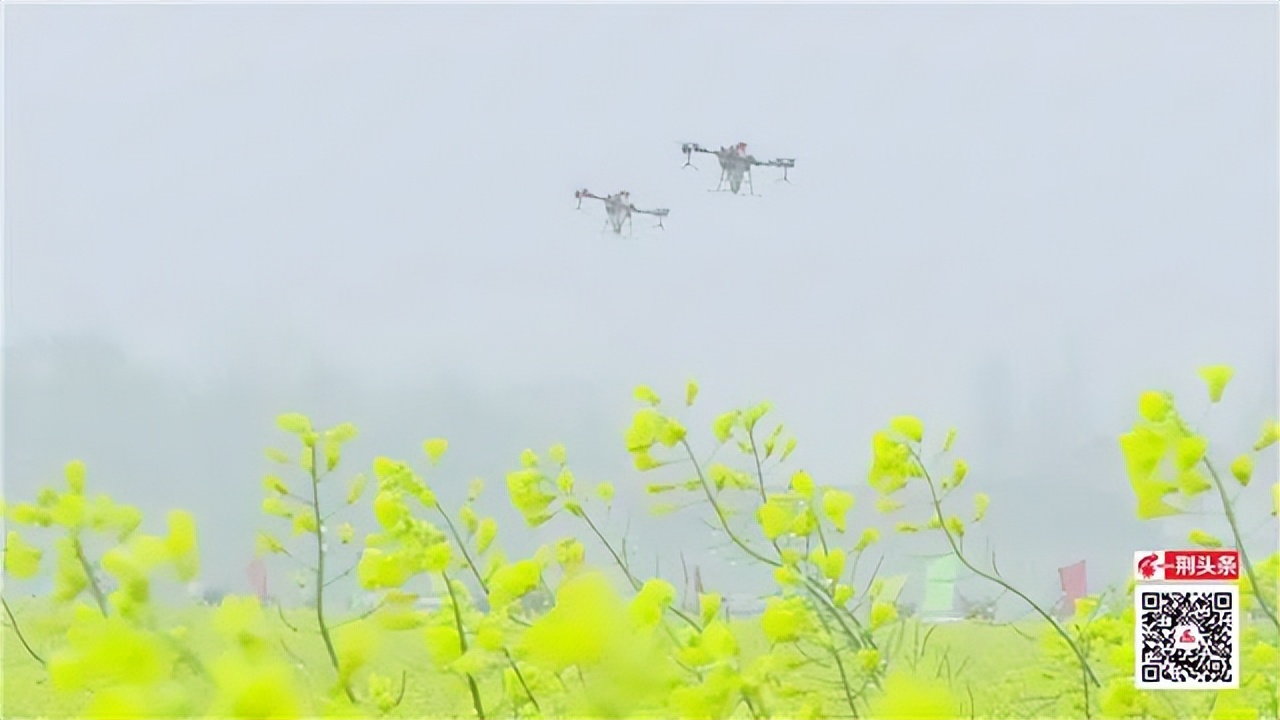 从发展实践看乡村振兴,沿红色足迹探索乡村振兴密码